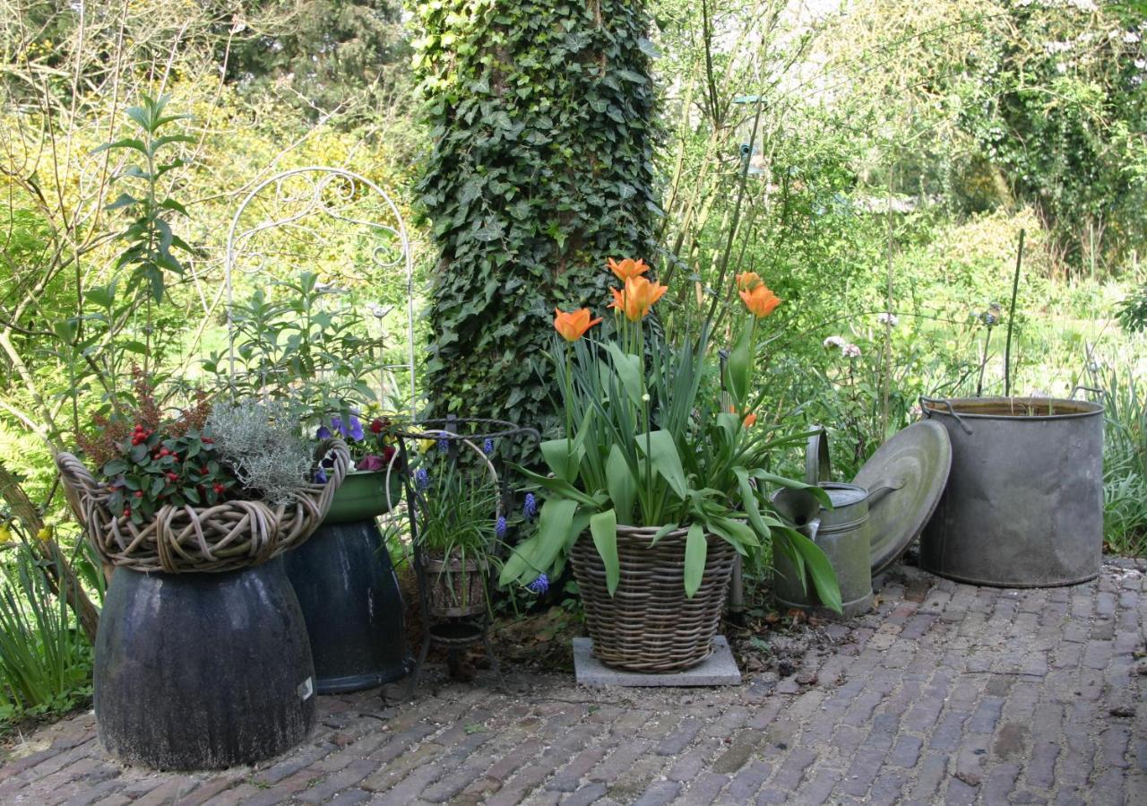 Huys En Hoff Aen Den Haspel Bed & Breakfast Oirschot Luaran gambar